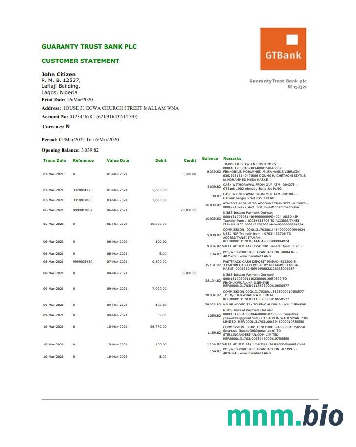 Nigeria GTBank szablon w formacie excel pdf